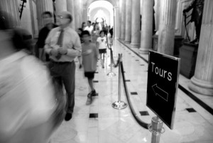 379407360_nDScL-M 379407360_nDScL-M