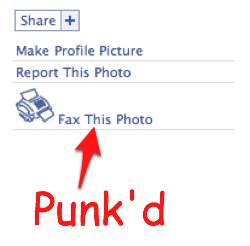 punk_d