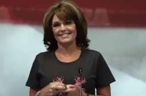 Palin NRA