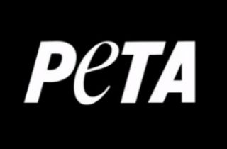 PicMonkey Collage - PETA