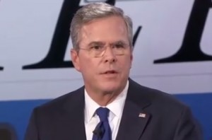Jeb Bush