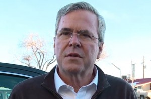 Jeb Bush