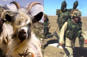 Screen Shot 2016-01-21 at 8.33.59 AM