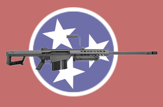 The Official State Gun of Tennessee Can Down a Jetliner