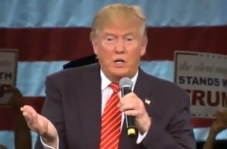 Donald Trump Todd Palin