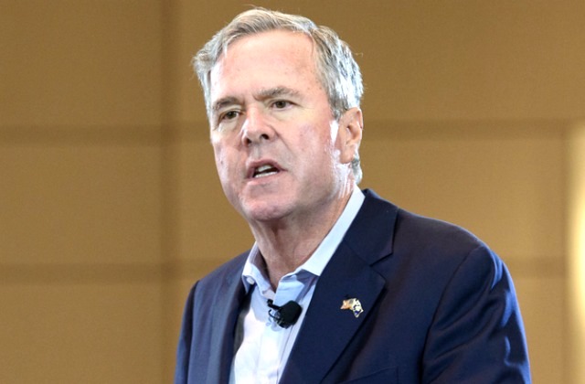 jeb-bush
