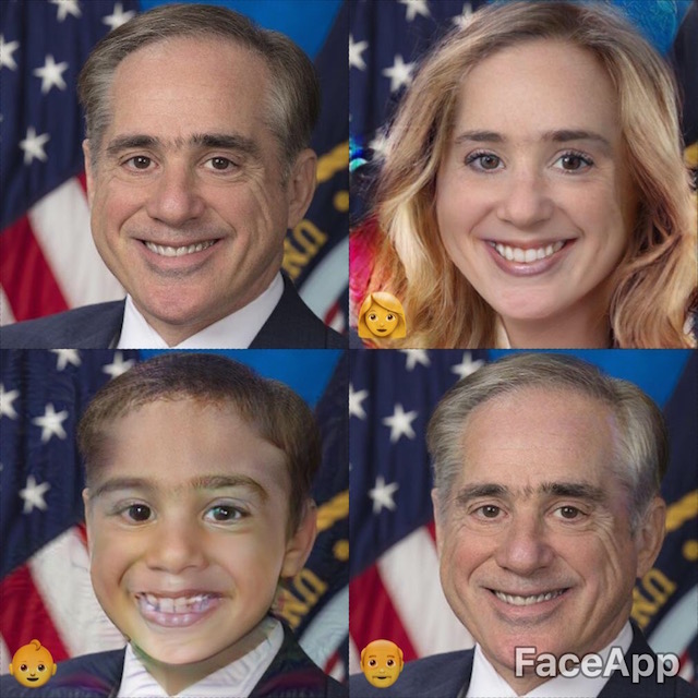 david shulkin