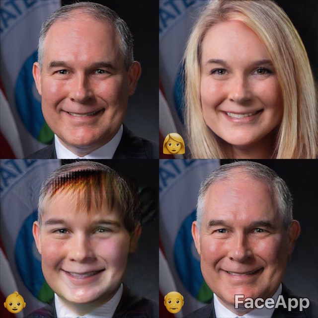 scott pruitt