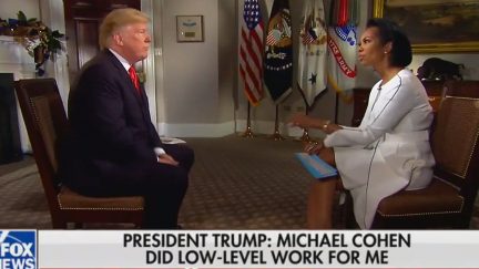 Harris Faulkner interviews President Donald Trump on Fox News Channel