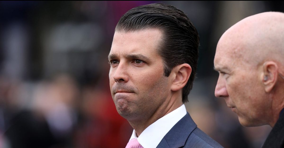 Don Jr Melts Down on Twitter After First Biden Victory Call: You Think This is a Coincidence? ‘You’re An Idiot’