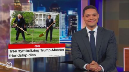 Trevor Noah Mocks Death of Trump-Macron 'Friendship Tree'