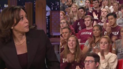 2nd Amendment Bro Comes for Kamala Harris, it Goes Poorly For Him