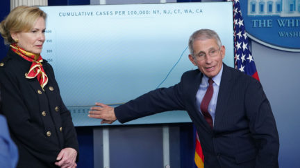 Response coordinator for White House Coronavirus Task Force Deborah Birx looks on as Director of the National Institute of Allergy and Infectious Diseases Anthony Fauci speaks and points a graphic during the daily briefing on the novel coronavirus, COVID-19, in the Brady Briefing Room at the White House on March 31, 2020, in Washington, DC.