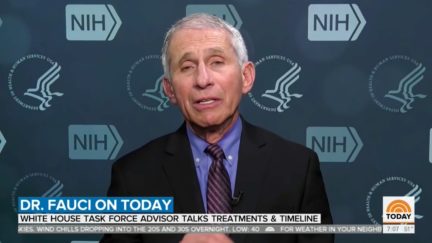 Dr. Fauci on Death Tolls
