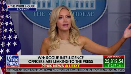 Kayleigh McEnany Accuses 'Rogue' Intel Officers' of Leaking to Undermine Trump