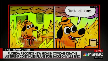 Chris Hayes Deploys 'This is Fine' Meme to Mock GOP Convention Plans for Jacksonville