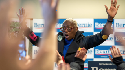 Nina Turner by Kerem Yucel/Getty Images