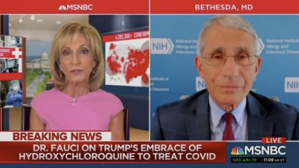andrea mitchell anthony fauci
