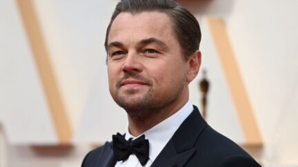 Leonardo DiCaprio Voter Suppression