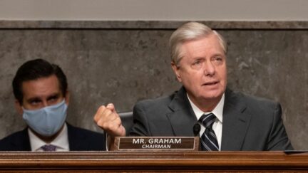 lindsey graham