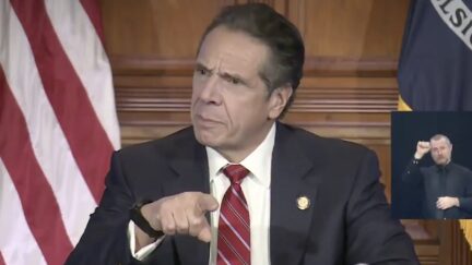 andrew cuomo mad