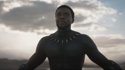 chadwick boseman as tchalla