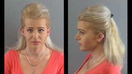 Giuliani election fraud witness