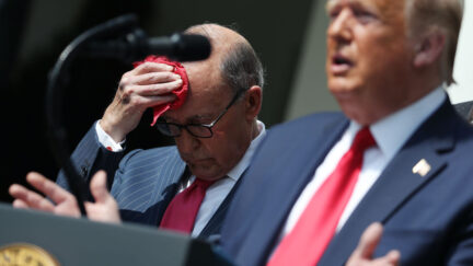 Larry Kudlow, Donald Trump