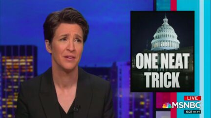 rachel maddow