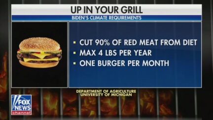 Fox News Burger Correction