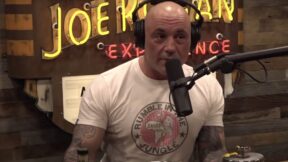 joe rogan