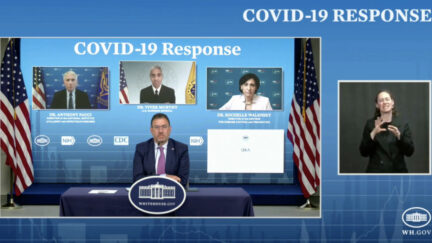 biden's covid response team