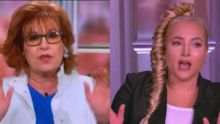 meghan mccain joy behar on the view