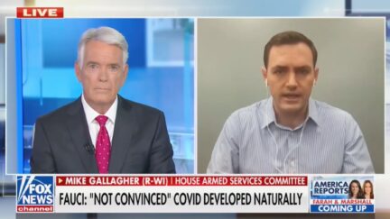 Mike Gallagher on Fox News