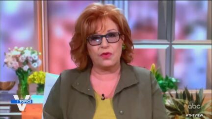 Joy Behar on The View