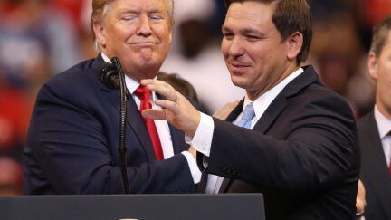 Trump and DeSantis