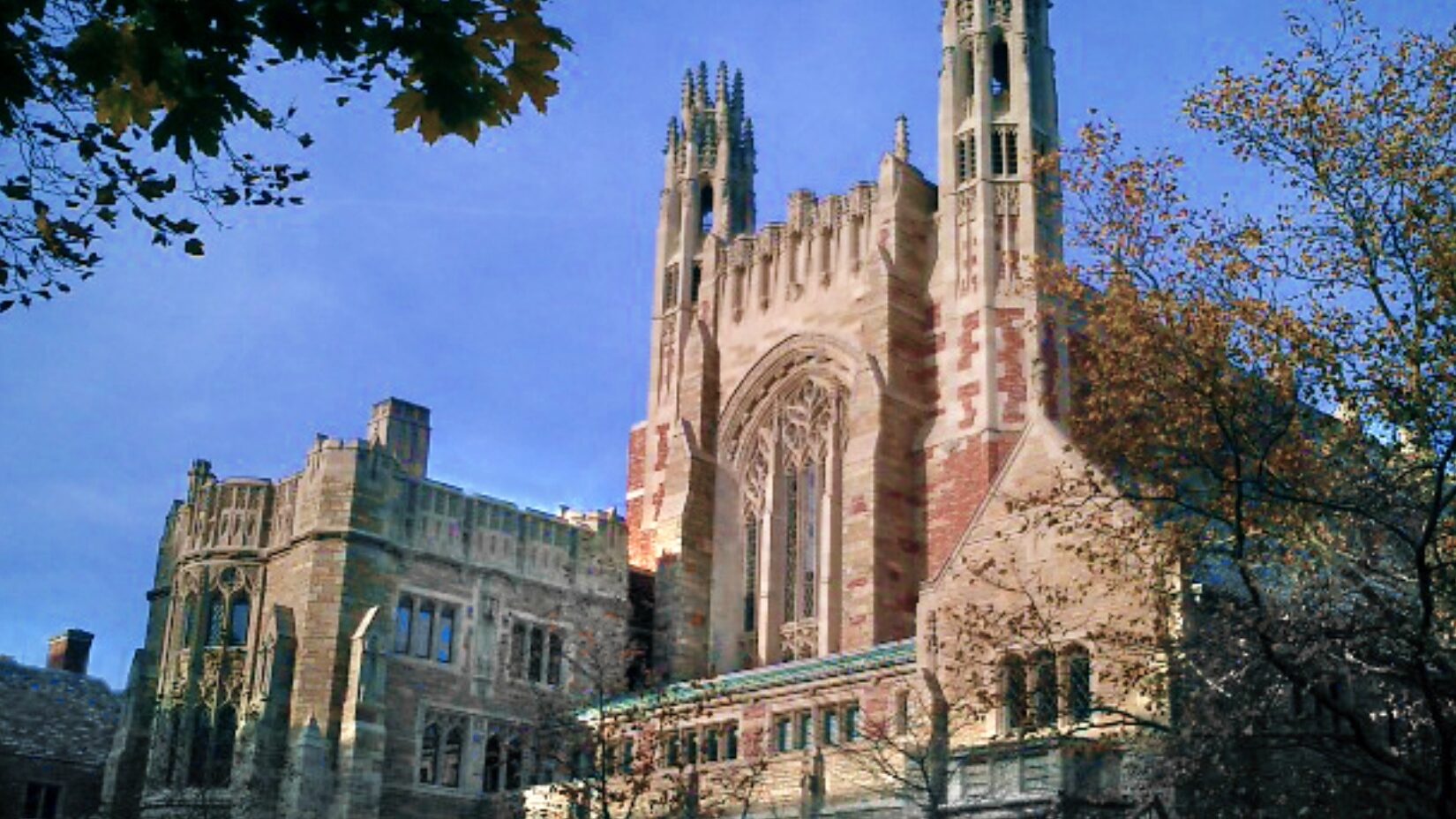 Yale University