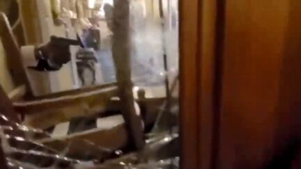 Ashli Babbitt shooter