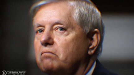 Lindsey Graham