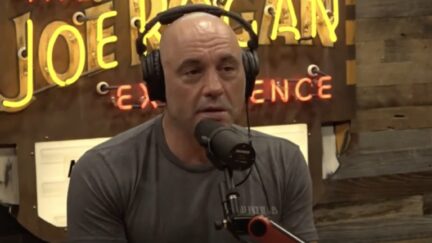 Joe Rogan