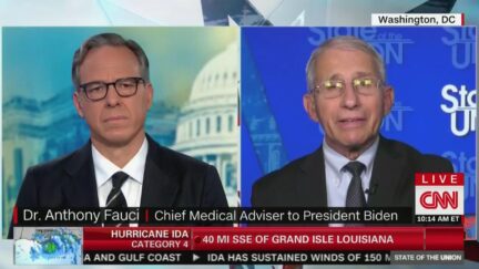 Fauci on CNN