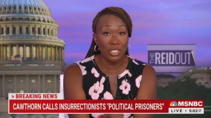 Joy Reid Slams 'Junior Brownshirt' Madison Cawthorn