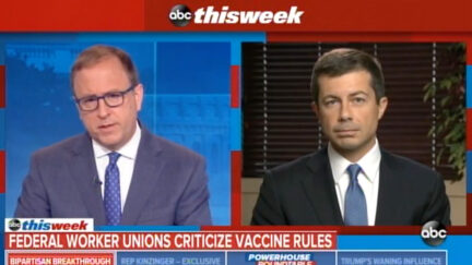 Jon Karl Pete Buttigieg