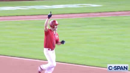 Greg Steube hits a home run