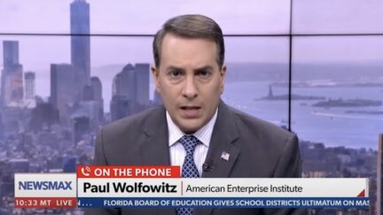 tom basile on newsmax