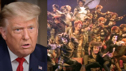 Trump Reportedly Listened to Memory from Cats to Calm Down