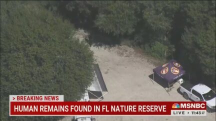 Human remains found near backpack believed to belong to Brian Laundrie