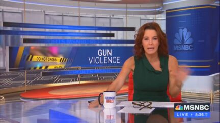 Stephanie Ruhle on gun violence