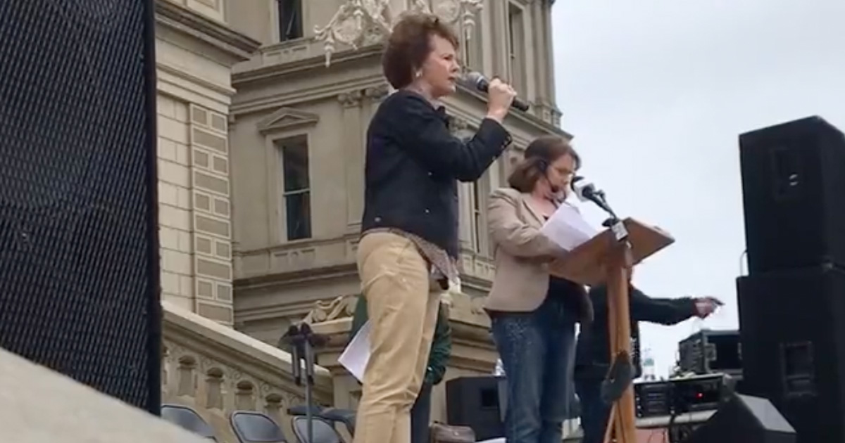 Michigan Republican at Rally Demanding 'Audit'