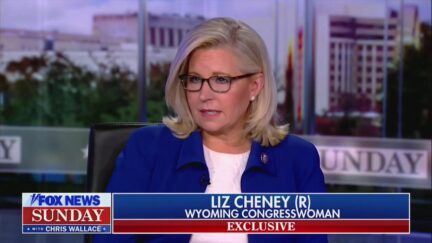 Liz Cheney on Fox News Sunday